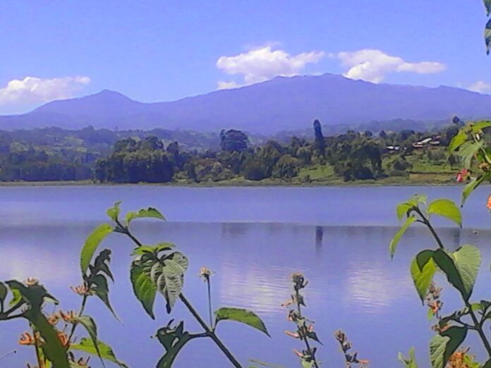 WhatsApp Image 2025-07-04 at 13.48.41